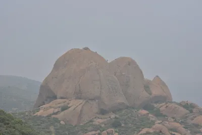 DSC_6847 (Large).JPG